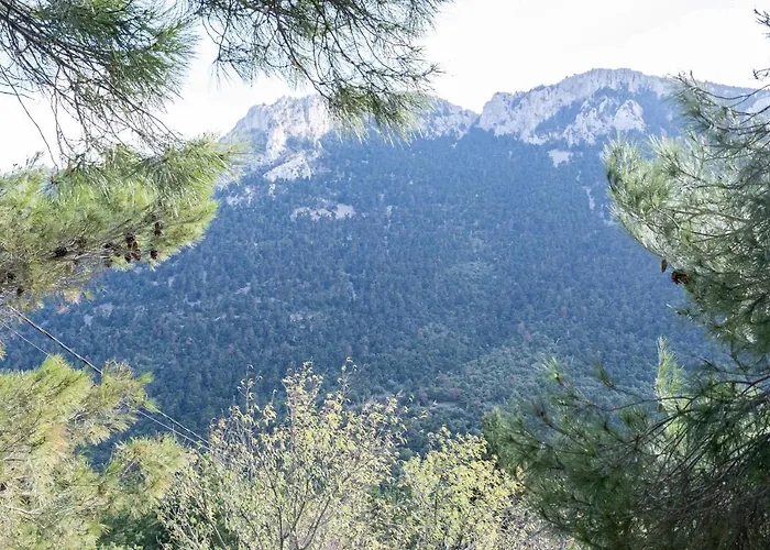 Tatil Evi Renaissance Arachova