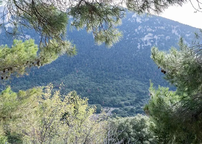 Renaissance Tatil Evi Arachova